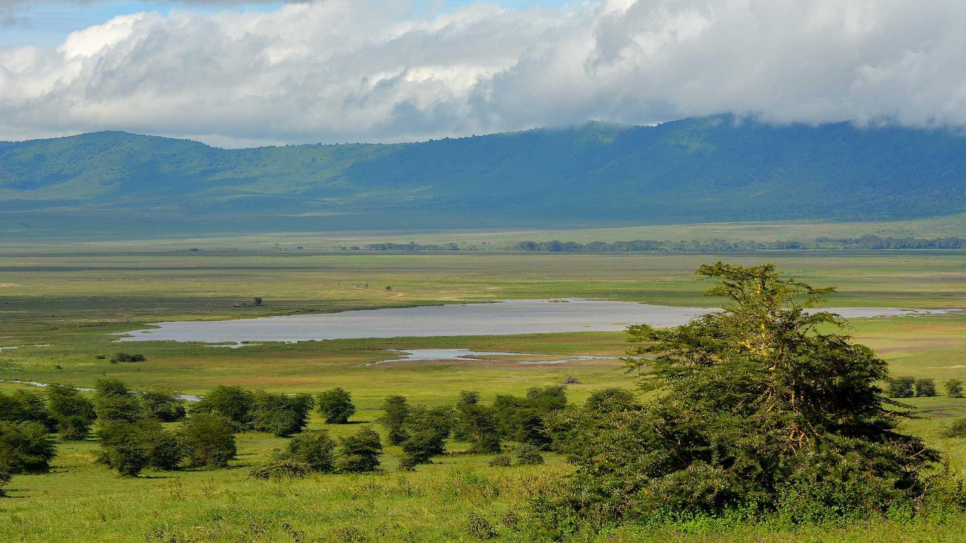 Luxe Tanzania Bush & Beach Safari